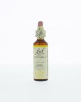Bach Scleranthus/hardbloem