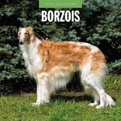Barzoi Kalender 2026