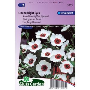 Linum Grandiflorum zaden Bright Eyes vlas