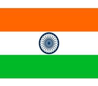 20x Stickertjes India vlag 10 cm   -