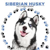 Siberische Husky Kalender 2026