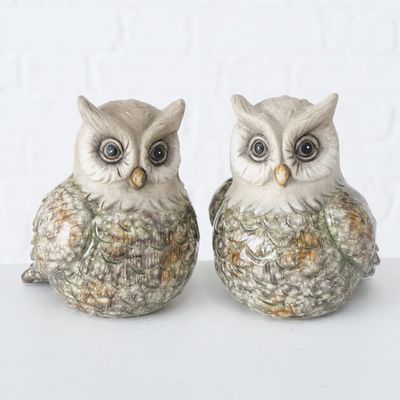 Decoratieve uiltjes Kuga