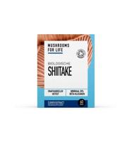 Shiitake poeder bio