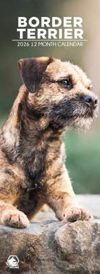 Border Terrier Slimline Kalender 2026