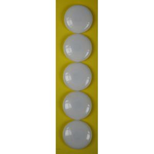 Benson ronde koelkast / whiteboard magneetjes - 5x stuks - wit - Keuken magneten