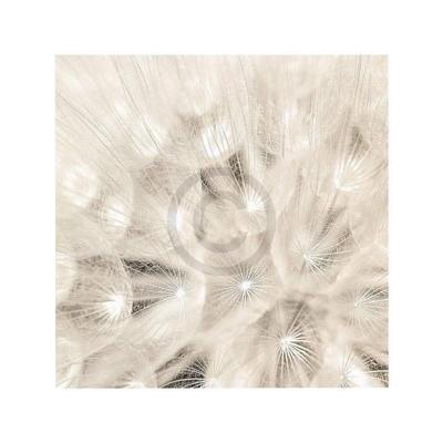 Kunstdruk Adam Brock - On the Breeze 51x51cm