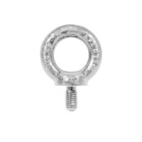 DuraTruss Hijsoog M12 340kg