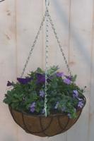 Diverse hangplantjes in kokos hanging basket van paar en blauw Warentuin Natuurlijk - Warentuin natuurlijk
