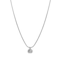 Minimalistische initialen ketting muntjes - Stainless steel - Zilver