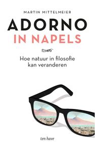 Adorno in Napels - Martin Mittelmeier - ebook