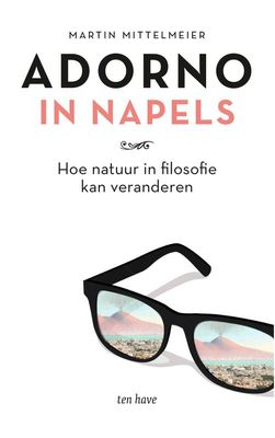 Adorno in Napels - Martin Mittelmeier - ebook