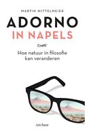 Adorno in Napels - Martin Mittelmeier - ebook