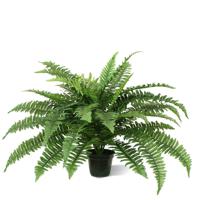 Boston Varen Deluxe 65 cm - Kunstplant