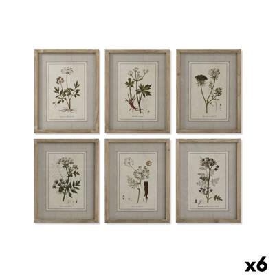 Schilderij Home ESPRIT Kristal Spar 30 x 2 x 40 cm (6 Stuks) Schilderij Home ESPRIT Kristal Spar 30 x 2 x 40 cm (6 Stuks)
