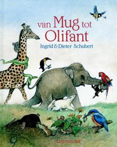 Van mug tot olifant