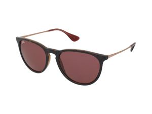 Ray-Ban ERIKA COLOR MIX zonnebril Piloot