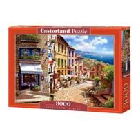 Selecta Castorland legpuzzel afternoon in nice, 3000st.