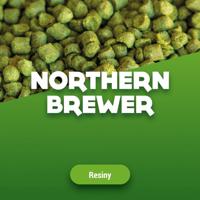 Hopkorrels Northern Brewer 2023 5 kg - thumbnail