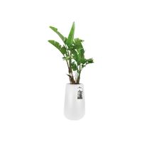 elho pure cone high 55 Binnen/buiten Plantenpot Vrijstaand Lineaire lagedichtheidpolyetheen (LLDPE) Wit - thumbnail