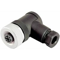 binder 99 0492 52 12 Sensor/actuator connector, niet geassembleerd M12 Aantal polen (sensoren): 12 Bus, haaks 1 stuk(s)