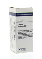 Ledum palustre MK