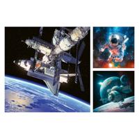 Ravensburger Legpuzzel ruimte, 3x49st.