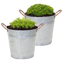 Plantenpot/bloempot emmer Jean - 2x - zink - zilver - D27 X H25 cm - thumbnail