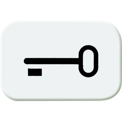 Busch-Jaeger 2525 TR-214 Symbool voor knop sleutel Afdekking Busch-balance SI Alpine-wit 1 stuk(s)