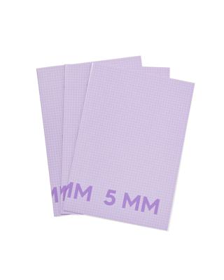 HEMA Schriften Lila A4 Geruit 5mm - 3 Stuks