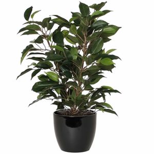 Groene ficus kunstplant 40 cm met plantenpot zwart D13.5 en H12.5 cm