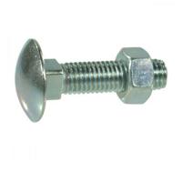 slotbout 4.6 M12x100 D603/555 elvz | 50 Stuk stuks