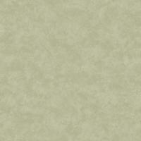 Dutch Wallcoverings Arboretum - Kanso Sage - Groen