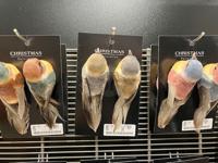 Vogel op clip 125 mm set2 3ass Nampook - Nampook