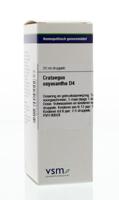 Crataegus oxyacantha D4