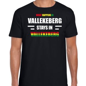 Valkenburg/Vallekeberg Carnaval outfit / t- shirt zwart heren