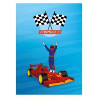 Deltas Formule 1 vriendenboek