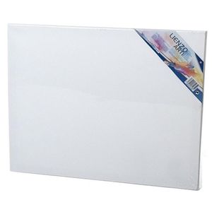 Canvas schildersdoek 50 x 40 cm voor hobby verven/schilderen