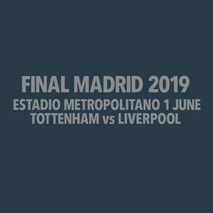 Champions League Finale 2019 Transfer Tottenham Hotspur