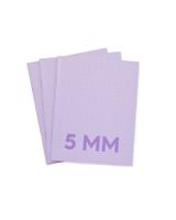 HEMA Schriften lila A5 geruit 5mm - 3 stuks
