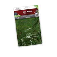 Strooisel - mos - groen - 30g - My village