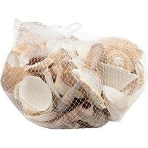 Hobbymateriaal schelpen 400 gram