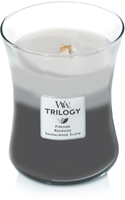 WW Trilogy Warm Woods Medium Candle - WoodWick