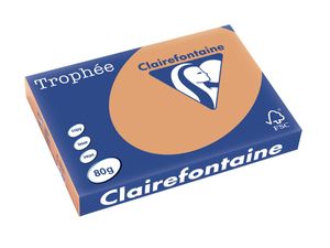 Clairefontaine Trophée Pastel, gekleurd papier, A3, 80 g, 500 vel, mokkabruin