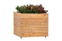 Bloembak RCW Krefeld 60x80x60 cm / op wieltjes Tuindeco - Tuindeco