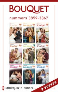 Bouquet e-bundel nummers 3859 - 3867 (9-in-1) - Andie Brock, Jennifer Hayward, Anne Mather, Heidi Rice, Sharon Kendrick, Maggie Cox, Kate Walker, Melanie Milburne, Dani - ebook