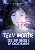 De Spiegelmoorden - Bjorn Van den Eynde - ebook - thumbnail