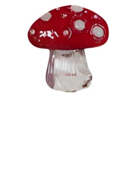 Steker ijzer paddenstoel 16x45 cm II - Buitengewoon de boet