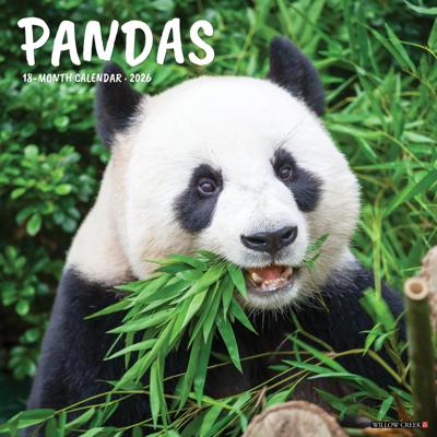 Panda Kalender 2026