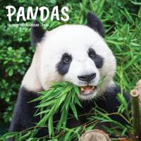 Panda Kalender 2026