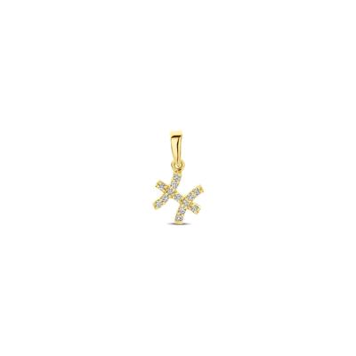 14k Geelgouden Hanger Sterrenbeeld Vissen met Diamant H SI